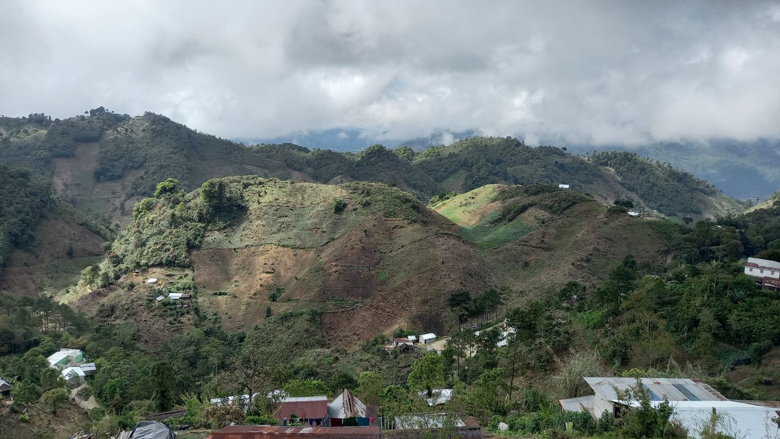 El Repollal I